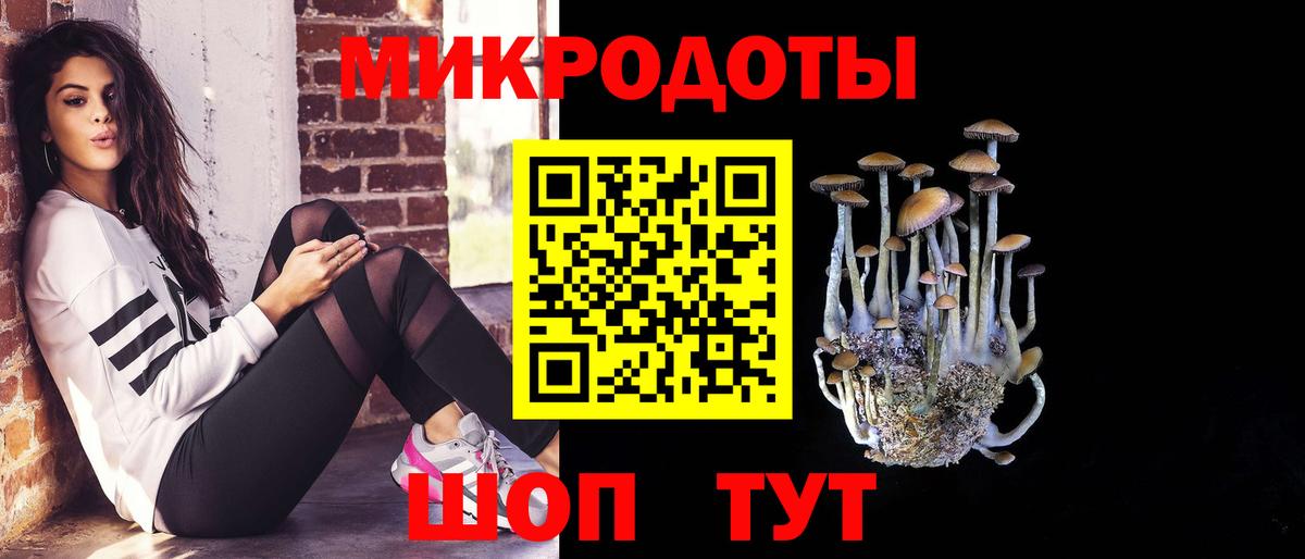 Псилоцибиновые грибы MAGIC MUSHROOMS  Галлюциногенные грибы Psilocybe  Вход с VPN  Приморско-Ахтарск 