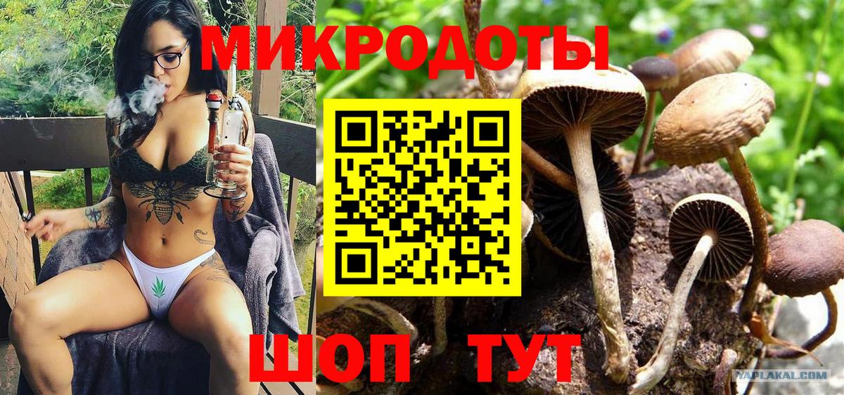 Псилоцибиновые грибы мухоморы Приморско-Ахтарск